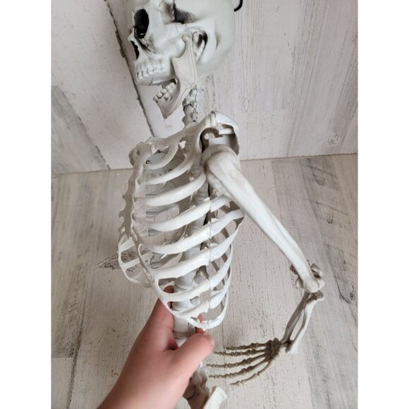 Halloween hanging skeleton prop home decor bone rib cage - Picture 6 of 12